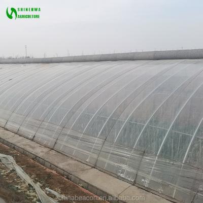 China Grow Vegetables In Winter Greenhouse With Quilt Covered Soil Brick Wall Chinese Greenhouse For Growing Winter Vegetables for sale