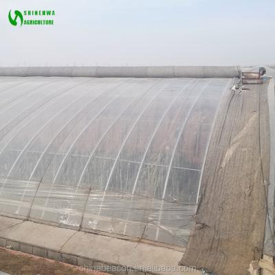 China Vegetable Sunlight Greenhouses Greenhouses Tunnel Single Film Green Fruits House With Hydroponic Growing Systems For Agriculture for sale