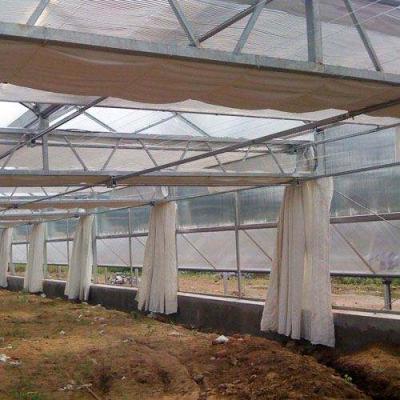 China Keep Warm Heat Insulation Curtain To Keep Warm Used For Greenhouse Heat Insulation Curtain System for sale