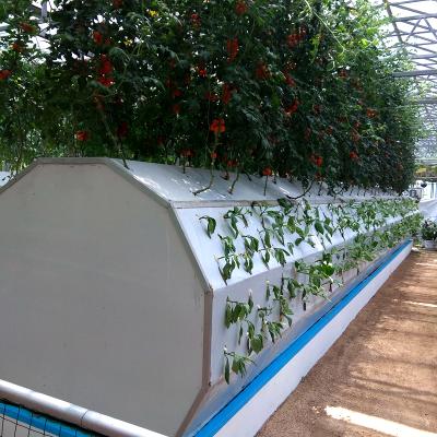 China Aeroponics Hydroponics System Hot Sale Commercial Hydroponics Growing System For Sale for sale