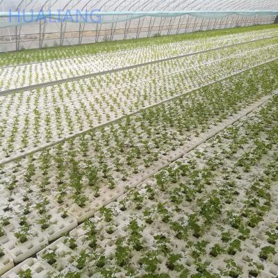 China Vegetable Planting Dft Vertical Frame Support Hydroponics For Lettuce/Vegetable Planting for sale