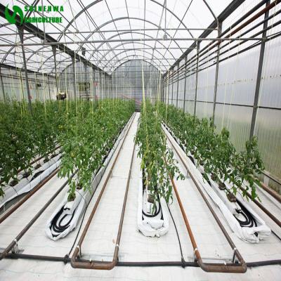 China Easy Growing Rockwool Culture For Greenhouse Agricultural Hydroponics Growing Systems For Tomatoes Cucumber Vegetables Growing for sale