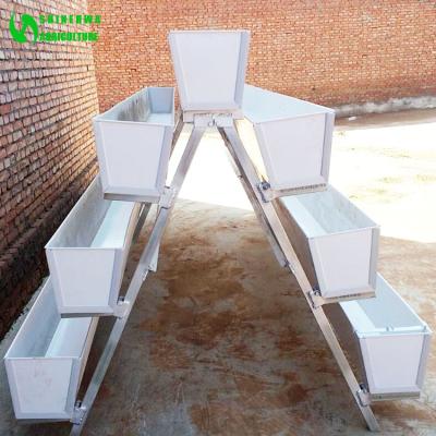 China Farms Agriculture Strawberry Vegetable Hydroponics Growing Gutter Crop For Sale for sale