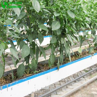 China Easy Growing Cocopeat Cultivation With Planting Gutter For Agriculture Vegetable Growing for sale