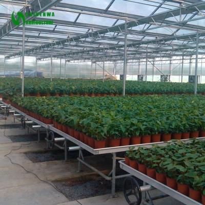 China Fruit Vegetable Flowers Mesh Seedbed Mobile Nursery Planting Equipment For Greenhouses Agricultural Hydroponics Growing Systems for sale