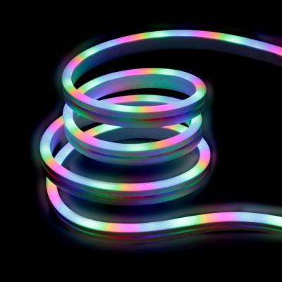 China RGBIC lux neon light flex flex luz intelligentte tira 24v smart led neon strip residential waterproof led neon strip for sale