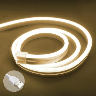 China Residential Custom 2M LED Strip 5v Low Voltage USB Rechargeable Light Type Flexible USB Rechargeable Led Neon Flex Light for sale