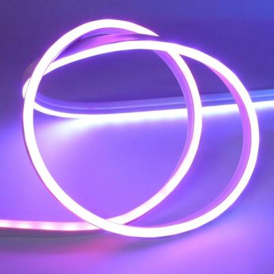 China Residential waterproof led neon light tira de neon de luz lux neon lamp smart led neon strip for sale