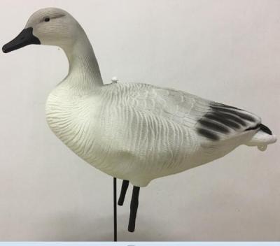 China Hunter chasing juvenile snow goose decoy for sale