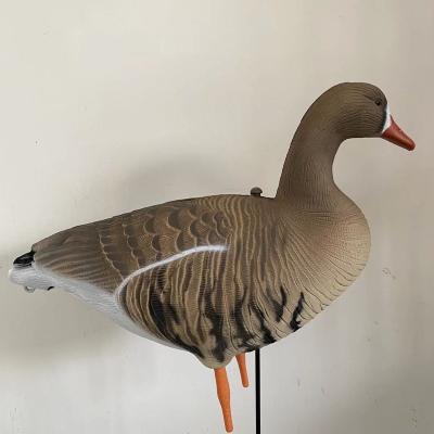 China New Arrival Folding And New Decoy Painting Geese For Hunter Hunting for sale