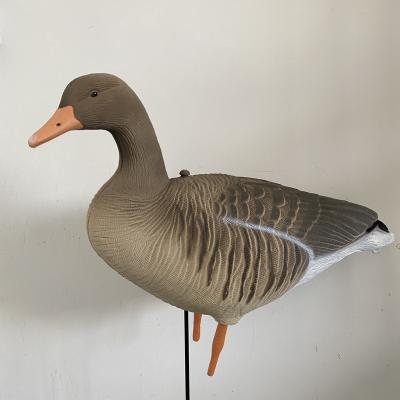 China Newcomer Folding and New Greylag Goose Painting Decoy for sale