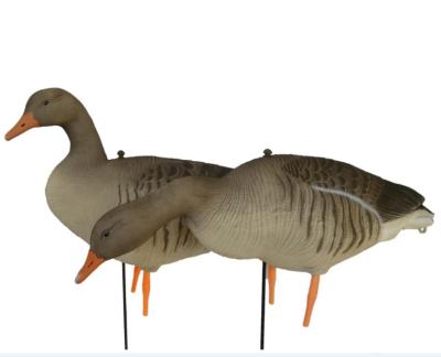 China Whole Body Greylag Goose Folding Assembled Decoy for sale