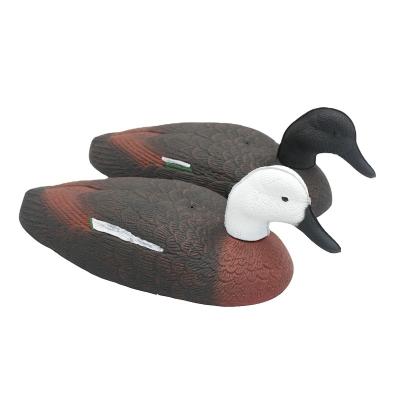 China Collapsible Packing Paradise Shell Duck Decoy for sale