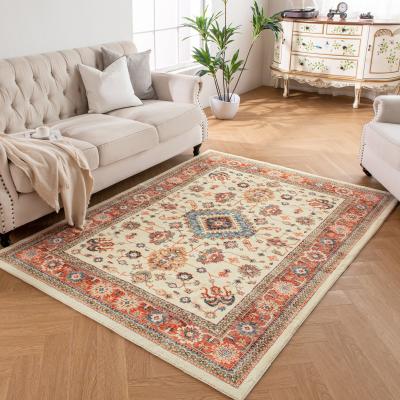 China Customizable Modern Living Room Floor Carpet Support Customization and European Style for sale