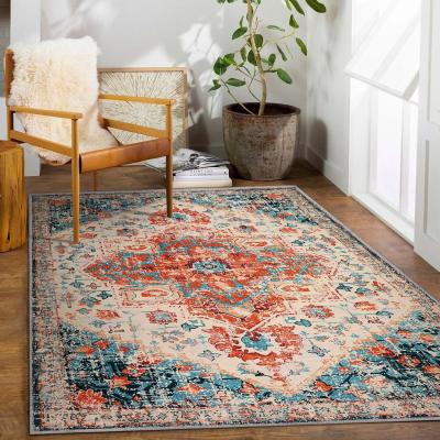 China Handmade Soft Modern Rugs for Living Room Eco-friendly Nordic Printed Fluffy Carpet for sale