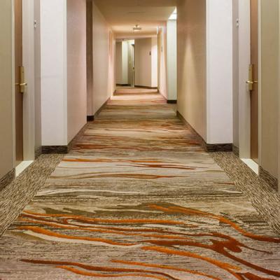 China High Quanlity Carpet for Modern Style Sala and Corridor within Luxury Custom Design for sale