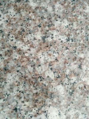 China G664 Residential Honed Granite Floor Tile Low Radiation Stone Material for sale