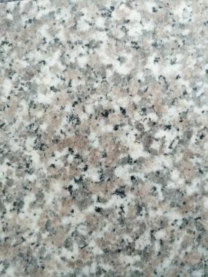 China Polished G639 Granite Stepping Stones , Stepping Stones Residential for sale