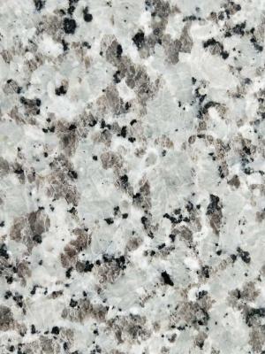 China Decorative Granite Stone Tiles / White Galaxy Granite Floor Tiles for sale