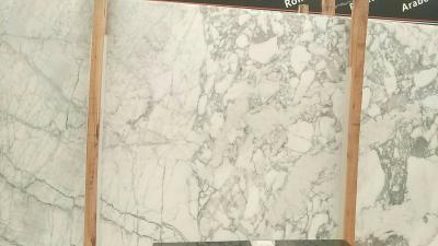 China Arabescato Calacatta Marble Kitchen Countertops Customized Shape for sale