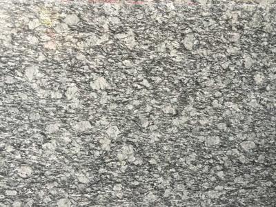 China Spary White Polished Granite Floor Tiles Fashionable Appearance for sale