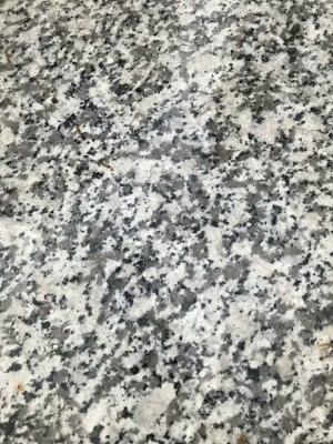 China Grooved G439 Granite Stone Tiles , Granite Kitchen Countertops for sale