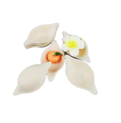 China Disposable Biodegradable Sugar Cane Bagasse 100% Sugar Cane Pulp Small Tableware Spoon for sale