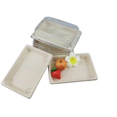 China Sugarcane Bagasse Bagasse Bleached Regular Sushi Tray Biodegradable Food Plates Supplier Food Sushi Food Container Storage Boxes for sale