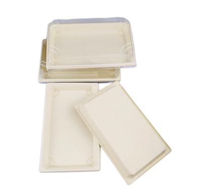 China Containerray Rectangular Disposable Compostable Sushi To Take Out Sugar Cane Bagasse Sushi 9inch Biodegradable Compostable Trays for sale