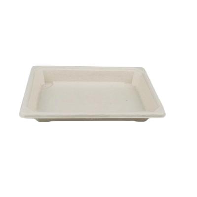 China Biodegradable Disposable Sugarcane Bagasse Bagasse Pulp Fast Food Packing Sushi Tray for sale