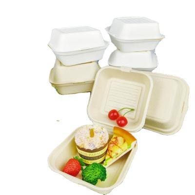 China Sugar Cane Bagasse Manufacturing Plant Biodegradable Compostable Bagasse Buger Packing Disposable Paper Pulp Box for sale