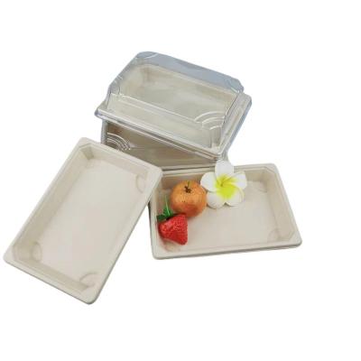 China Eco-Friendly Tray Biodegradable Sugar Cane Bagasse Sushi Container Sugar Cane Bagasse Pulp Sushi Tray Restaurant for sale