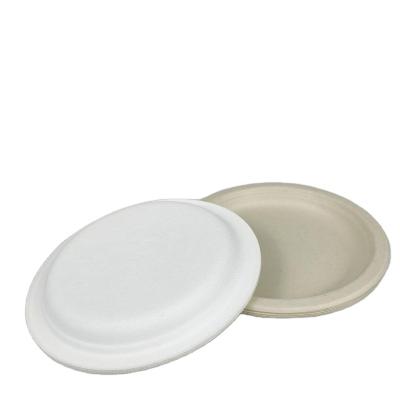 China 7 Inch Candy Cane Bagasse Restaurant Eco-friendly Microwavable Round Biodegradable Pulp Dish Disposable Christmas Paper Plates for sale