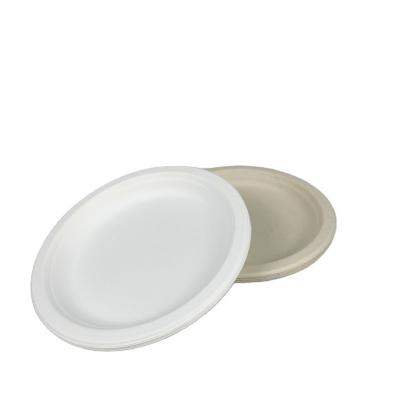 China Compostable 100% Eco Sugarcane Bagasse Dish 9 Inch Paper Plates, Natural Disposable Bagasse Dish for sale