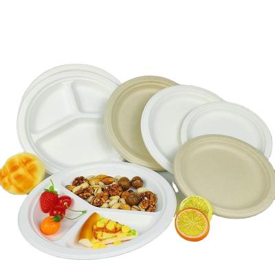 China Sugar Cane Bagasse PFAS Paper Plates 3 Compartment Paper Plate 100% Compostable Free Compostable 10 Inches for sale