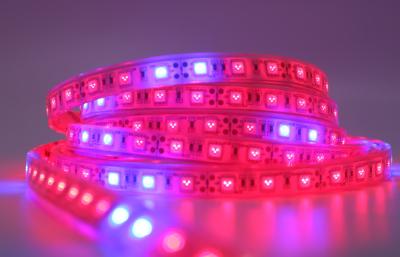 China 60 Leds Cuttable Outdoor Led Strip Lights Blue 440nm Red 660nm for sale