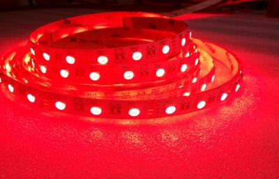 China SMD5050 RGBW 4 in 1 Chip  LED Strip Light IP20 Nonwaterproof DC12V for sale