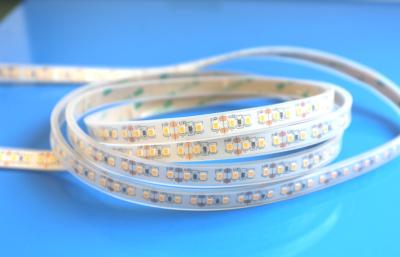 Κίνα 24V IP67 λουρίδα ελαφριά 120 Leds των αδιάβροχων οδηγήσεων ανά μετρητή 3 έτη εξουσιοδότησης προς πώληση