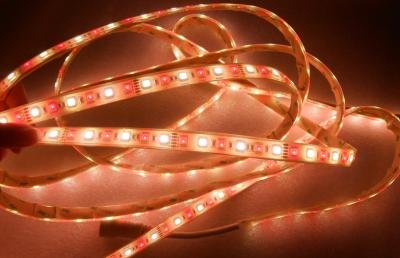 China 72 Leds / M  FPC Long Led Strip Lights Dimmable 12mm Width for sale