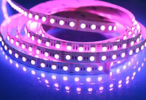 China 5 Meter / Reel DC12v / Dc24v 5050 RGBW LED Strip Light 4 In 1 Chip for sale