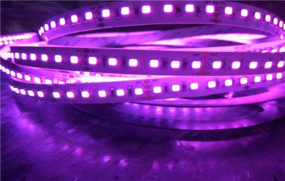 China DC24V rgb color 3535 SMD LED Strip Light , 12mm width home led strip lighting high power for sale