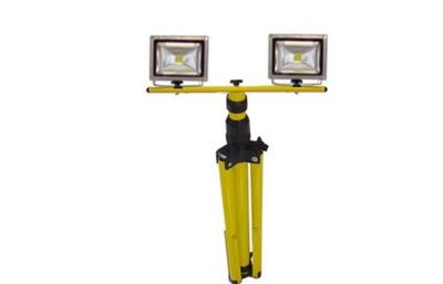 China High Lumen LED Outdoor LED Rechargeable Floodlight , 20W Bridgelux Portable LED Lighting for sale