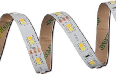 China CCT Adjustable Two Color Led Strip Warm White And Cool White for sale