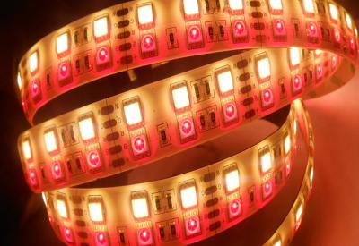 China Double Row 5050 SMD IP68 Rgbw Led Strip Light Waterproof Super Brightness for sale