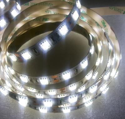 China Transparent Dimmable Led Strip Lights Energy Saving High Luminous for sale