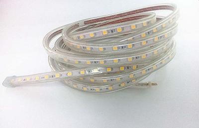 China 5 Meters DC12v / DC24v RGB 5050 Led Strip Lights Waterproof 14.4w / M for sale