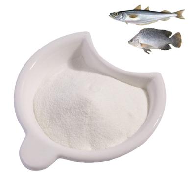 China All Type Hydrolyzed - 2 Pure Marine Fish Collagen Peptide for sale