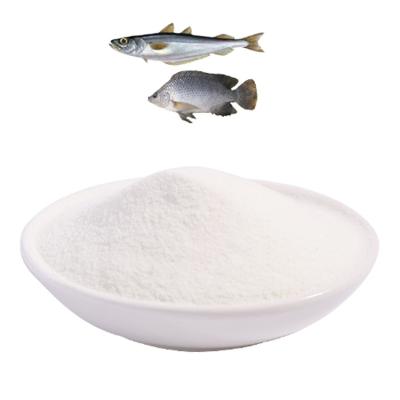 China All Marine Fish Scale Collagen Peptides Pure Water Soluble Protein Powder for sale