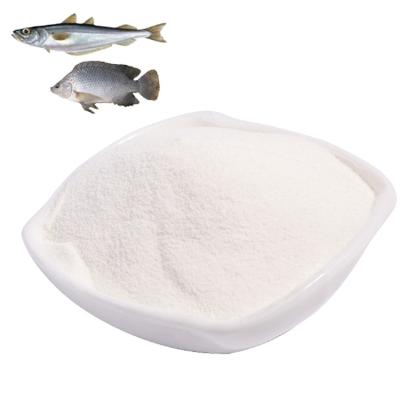 China All New Products Protein Supplements Fish Scale Beauty Skin Collagen Powder for sale