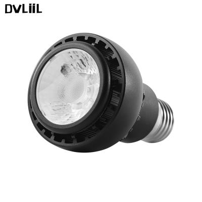 China Office DVLIIL A13 Electronic Warm White Leds 12v Shape 5v Ac Led E27 Lighting Smart 30w Light Bulb for sale